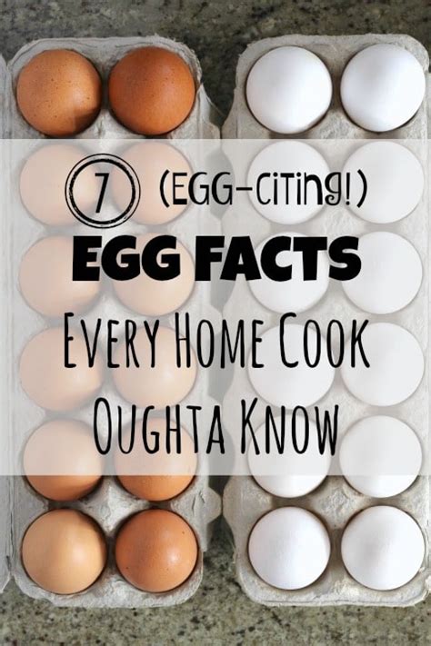 7 EGG Citing Egg Facts Every Home Cook Oughta Know Two Healthy Kitchens