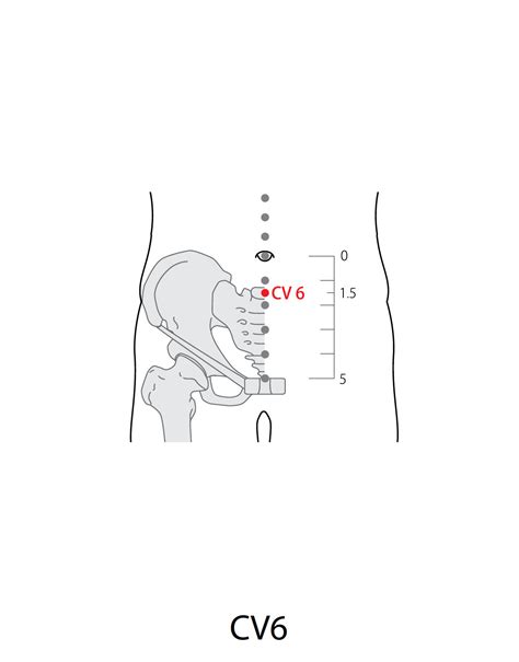 Acupuncture Point: Conception Vessel 6 (CV 6) - Acupuncture Technology News