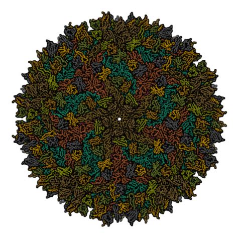 Rcsb Pdb A Z Cryo Em Structure Of Dengue Virus Serotype Strain