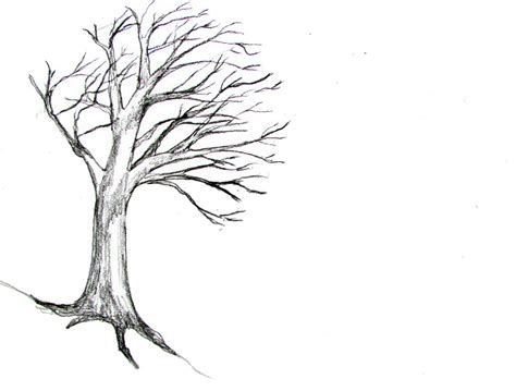 How To Draw A Tree