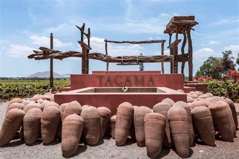 Visita à fazenda da adega Tacama de Ica Civitatis