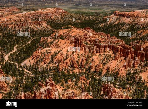 Usa Utah Garfield County Bryce Canyon National Park Amphitheater View From Upper