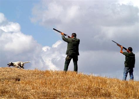 Canicatti Web Notizie Caccia In Sicilia La Preapertura Il Settembre