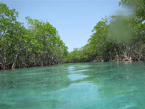 Guanica State Forest Tours Book Now Expedia