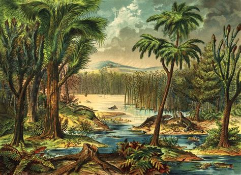 What Was Our Earth Like 300 Million Years Ago Landscapes Forests