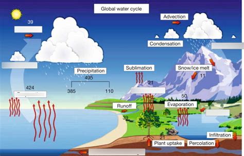 The Hydrosphere Diagram | Quizlet