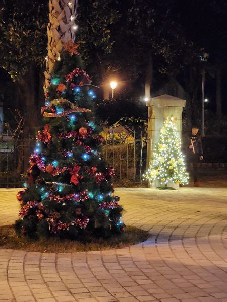 Zavr Eno Prazni No Ukra Avanje Risna Zabava Za Djecu Decembra