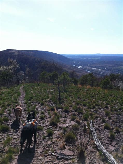 Palmerton, PA - Pennsylvania | Palmerton, Appalachian trail, Places to ...