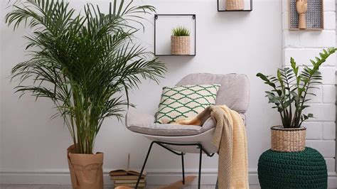 Las Ideas M S Originales Y Baratas Para Decorar Con Plantas Y Flores Tu