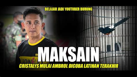 JADI YOUTUBER BURUNG DENGAN ALAT SEADANYA YouTube