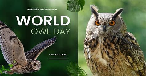 World Owl Day Why We Need To Protect Owls Bellanova Books