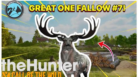 Taking Down Another Great One Fallow Deer The Hunter Call Of The Wild