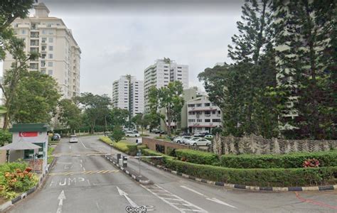 pine grove condos  commercial spaces  singapore