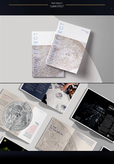 Award-winning native: Out-of-this-world graphics draw public into a