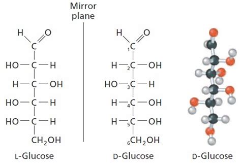 Allose Structure