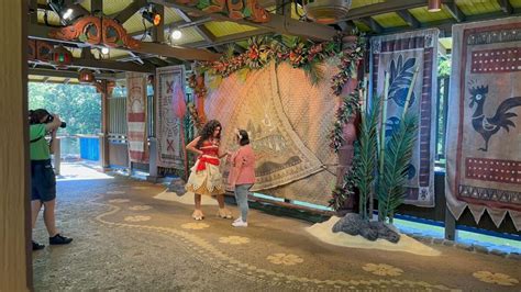 Photos Video Moana Meet And Greet Debuts At Disneys Animal Kingdom