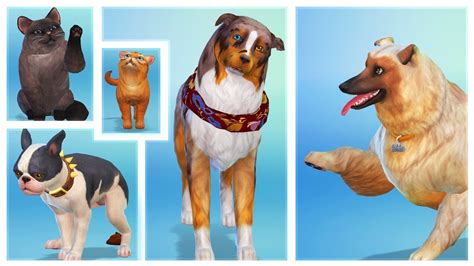 Sims 4 cats and dogs cc recolors - pacificmeva