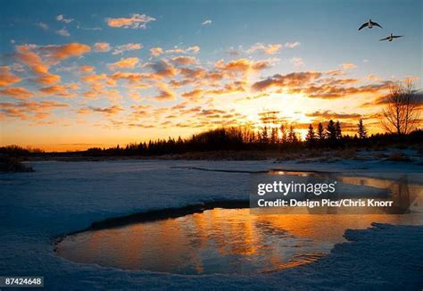 Sturgeon River (Alberta) Photos and Premium High Res Pictures - Getty ...