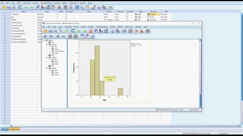 Kumpulan Cara Export File Spss Ke Word Terbaru Catatan Perdata