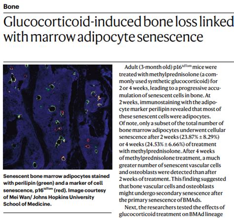 Nature Reviews Endocrinology On Twitter Online Now Researchhighlight