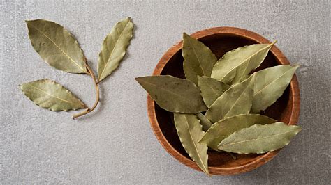 Los Beneficios Para La Salud De Dormir Con Una Hoja De Laurel En El