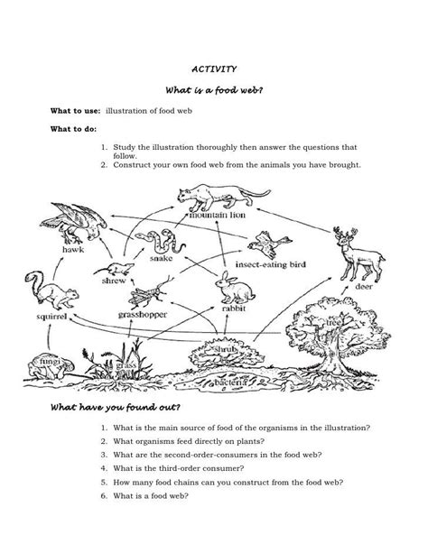 Food Webs And Food Chains Worksheets Answers Key