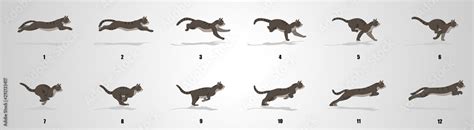 Cat Run cycle animation sequence Stock Vector | Adobe Stock