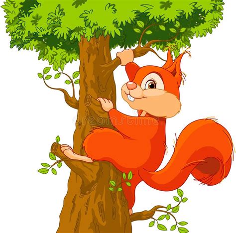 Squirrel Climbing Tree Clip Art