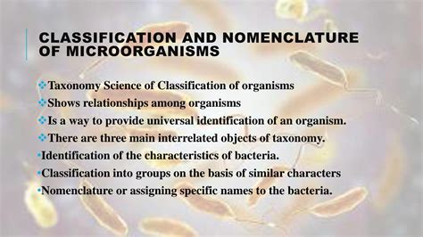 SOLUTION Classification And Nomenclature Of Microorganisms Studypool