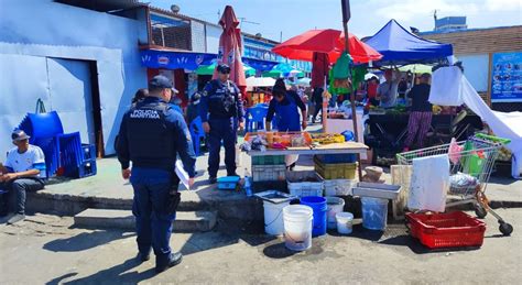 M S De Kilos De Pescados Y Mariscos Fueron Decomisados Desde El