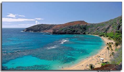 Hanauma Bay Oahu Honolulu Oahu Oh The Places Youll Go Places Ive Been Most Beautiful