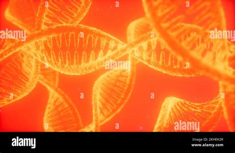 structure of the DNA double helix animation Stock Video Footage - Alamy