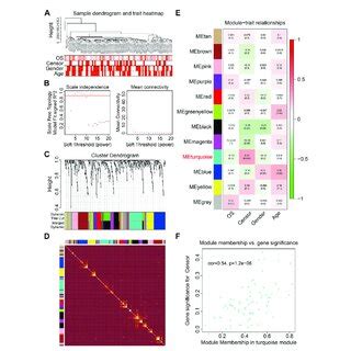 Weighted Gene Coexpression Network Analysis Of The Differentially