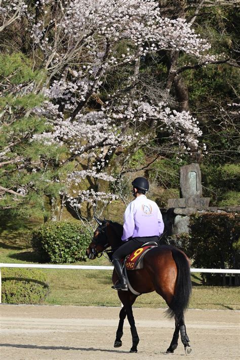 日曜メインレースの注目激走馬阪神11r桜花賞・g1 Umatoku 馬トク