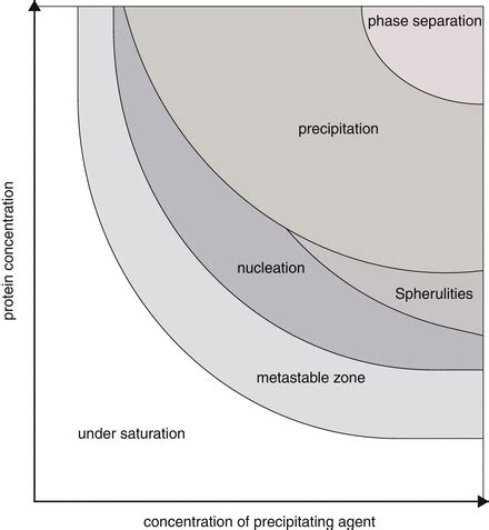 Model phase diagram of protein crystallization . Different zones of ...