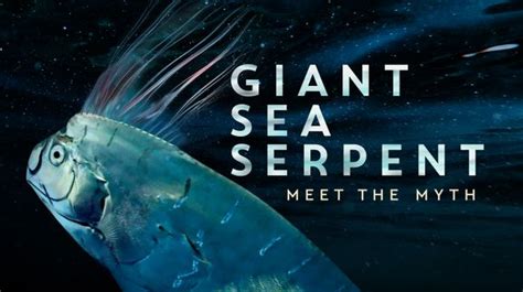 Stream Giant Sea Serpent: Meet the Myth | MagellanTV