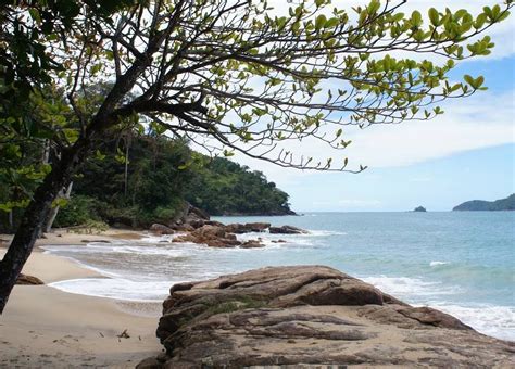 Trilha Das Praias De Ubatuba Sa Da De S O Paulo Desviantes