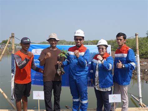 Hapus Jejak Emisi Karbon Di Bumi Mangrove Tag Lakukan Pendampingan