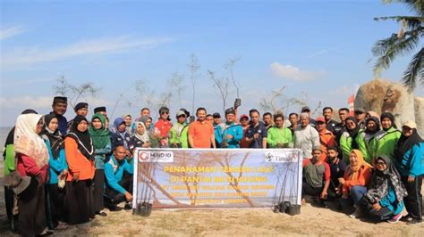 Cegah Abrasi Dan Percantik Kawasan Wisata Pantai Batu Kucing Pt Timah