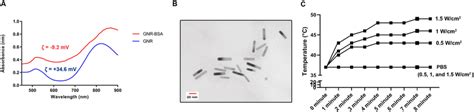 Uvvis Spectrum Of Gnrs And Gnr Bsa A Tem Imaging Revealed