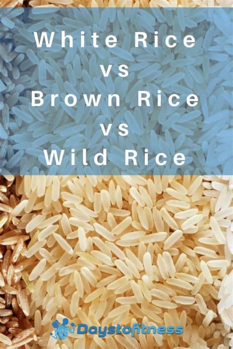 15 Best Wild Rice Vs Brown Rice How To Make Perfect Recipes