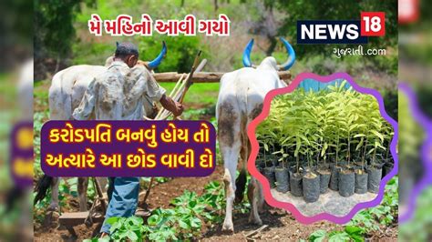 Small Land Farming Business Idea Earn In Lakhs Become Crorepati With This Most Profitable