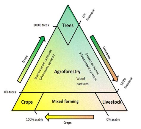 Agroforestry for Green India - Focus Global Reporter