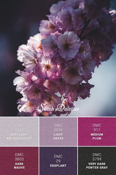 Cherry Blossom | Nature color palette, Color schemes colour palettes ...