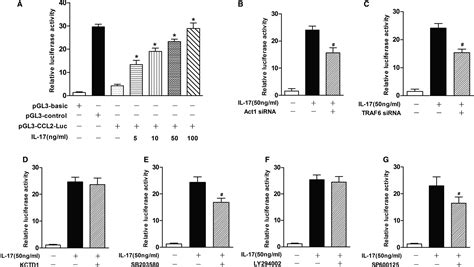 Il‐17 Stimulates The Expression Of Ccl2 In Cardiac Myocytes Via Act1