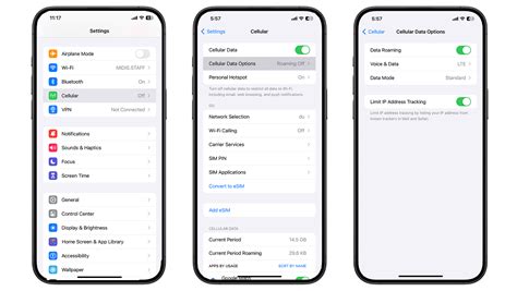 How To Turn On Roaming On IPhone ISTYLE Apple UAE