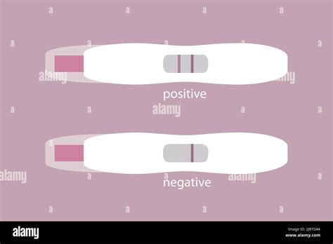 Pregnancy Test Positive And Negative Info Graphic Stock Vector Image And Art Alamy