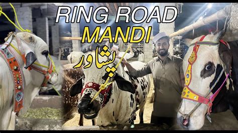 Ring Road Mandi Peshawar 2023 YouTube