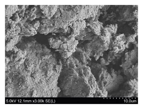 Microstructure Of Remolded Red Clay Under Different Zinc Ion Download Scientific Diagram