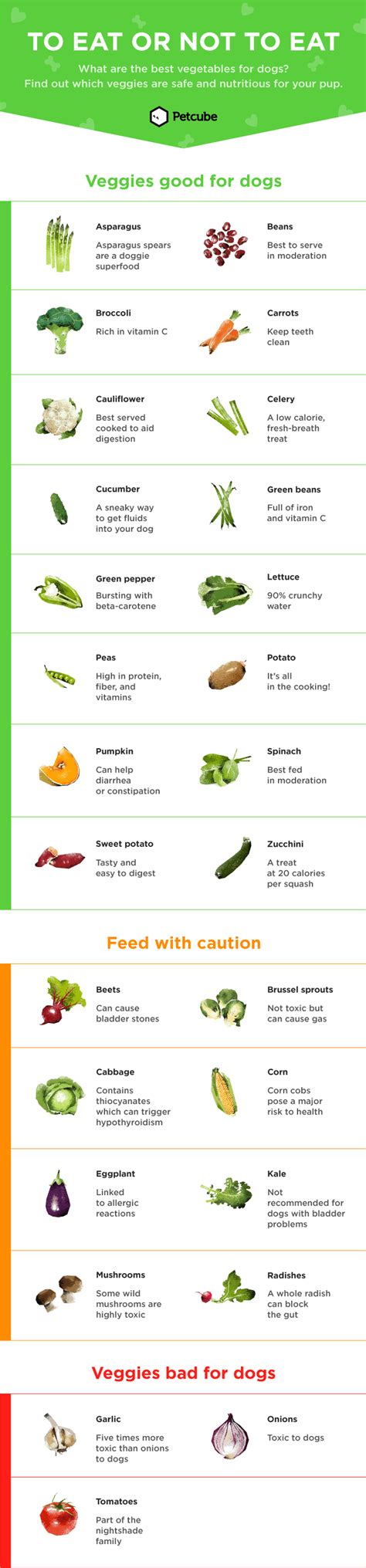 Canine Vegetable Nutrition Chart : r/coolguides